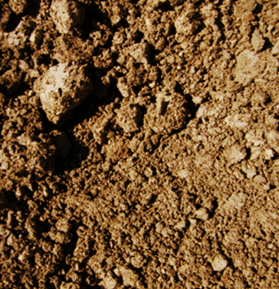 2. Soil