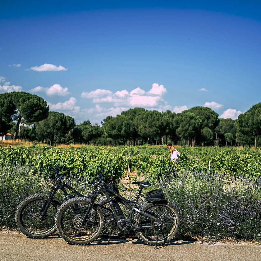 Visita y picnic en bicicleta