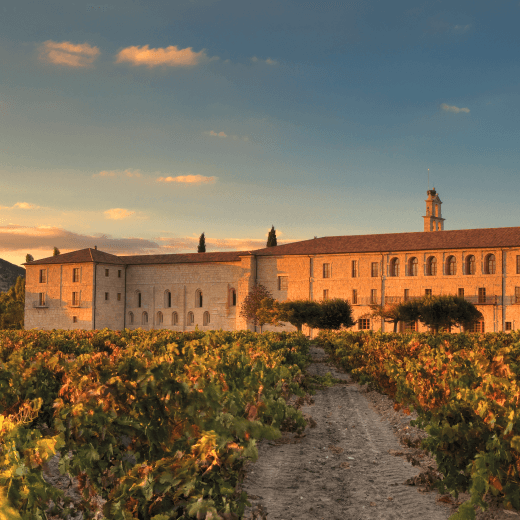 The history of our vineyard